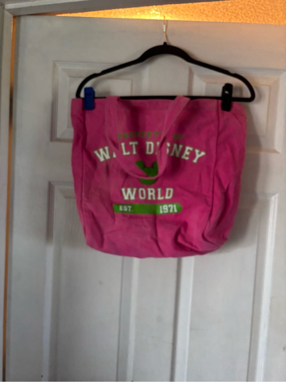 Disney Pink Canvas Walt Disney World Tote with Green Logo